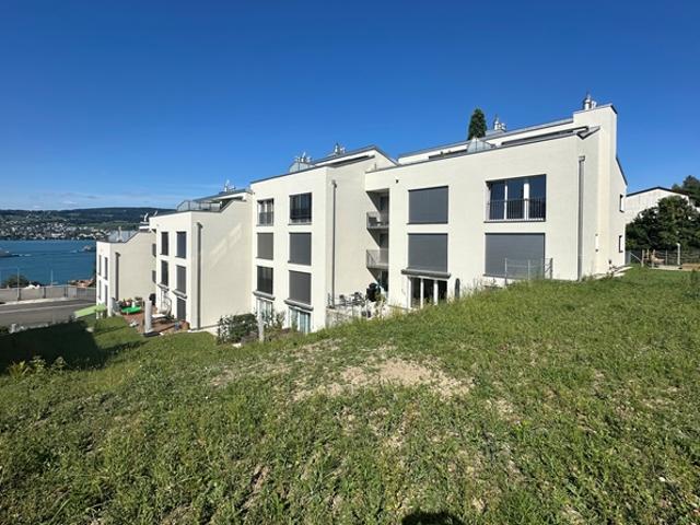 Wohnung mieten in Horgen, Zürich