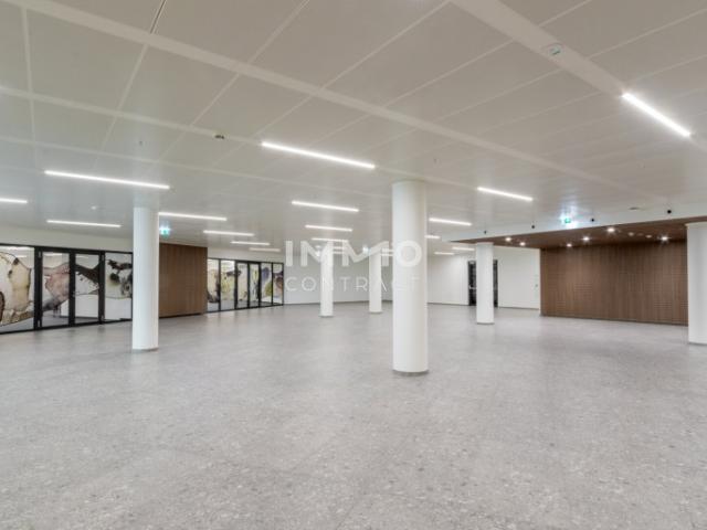 Immobilie kaufen in Floridsdorf, Wien