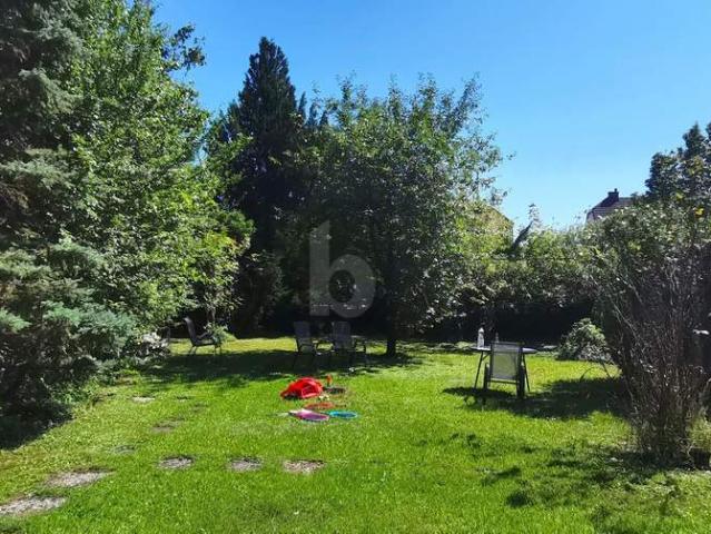 Grundstück kaufen in Bruck an der Leitha, Niederösterreich