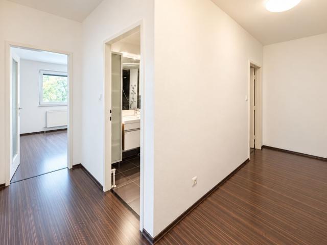 Wohnung mieten in Maria Enzersdorf, Bezirk Mödling