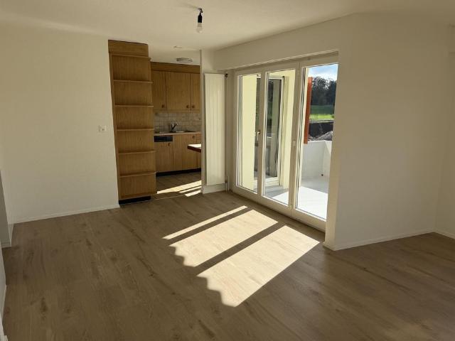 Apartment mieten in Bisikon, Illnau-Effretikon