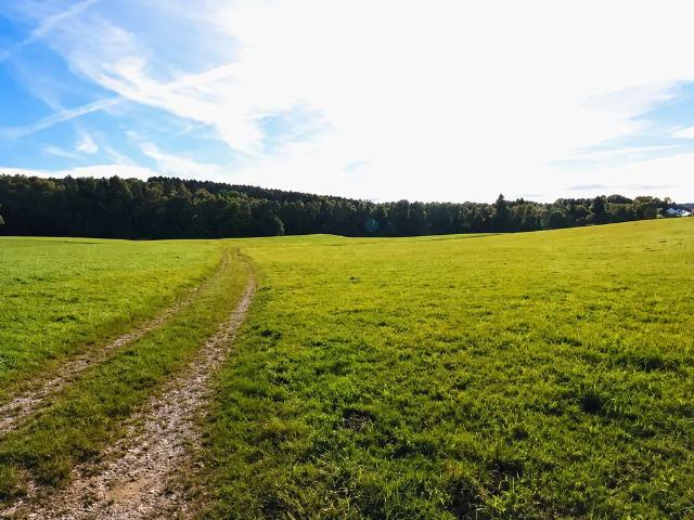 Erdgeschosswohnung kaufen in Markt Rettenbach, Landkreis Unterallgäu