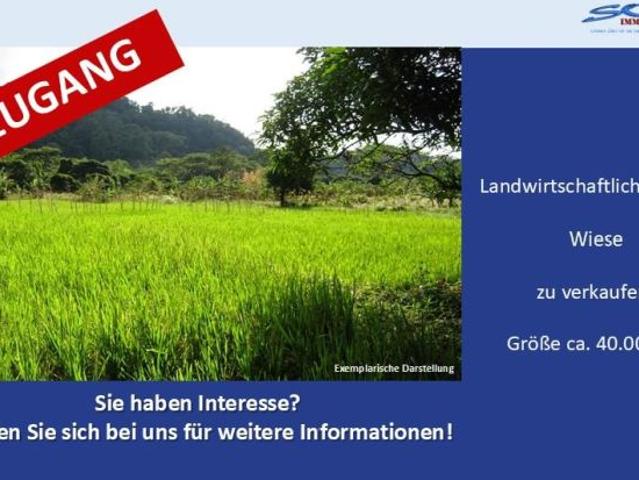 Erdgeschosswohnung kaufen in Königsmoos, Bayern