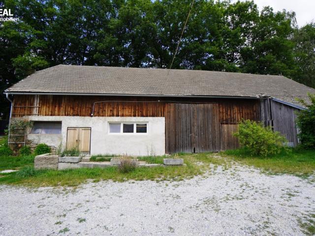 Haus kaufen in Groß Gerungs, Niederösterreich