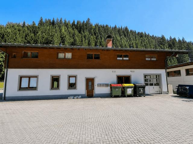 Apartment mieten in Viehhofen, Salzburg