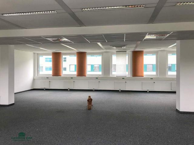 Gewerbe mieten in Hagenau, Salzburg