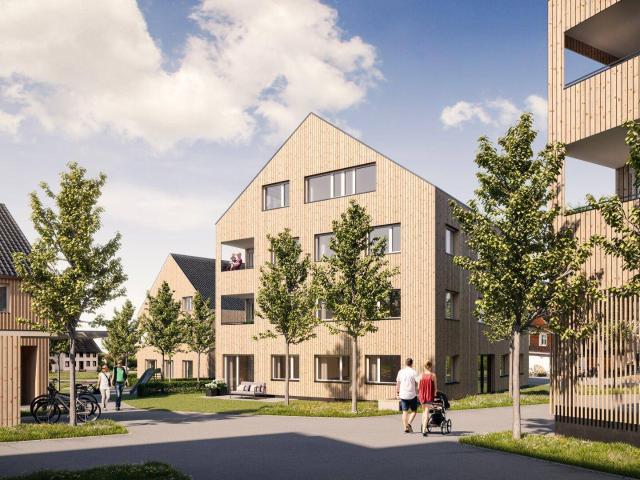 Apartment kaufen in Hohenweiler