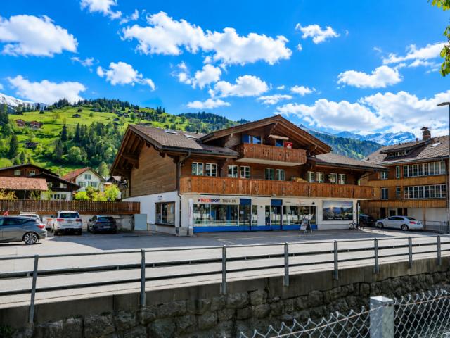 Immobilie kaufen in Lenk Im Simmental, Bern