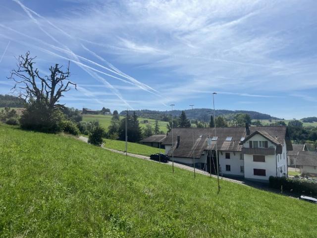 Terrassenwohnung kaufen in Zetzwil, Aargau