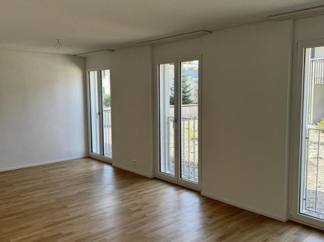 Apartment mieten in Villmergen, Bezirk Bremgarten