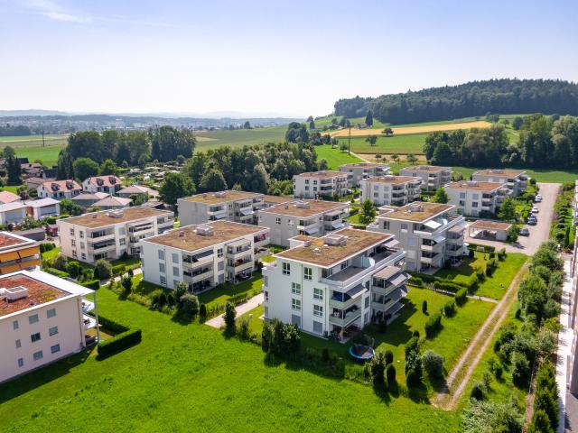 Wohnung mieten in Villmergen, Aargau