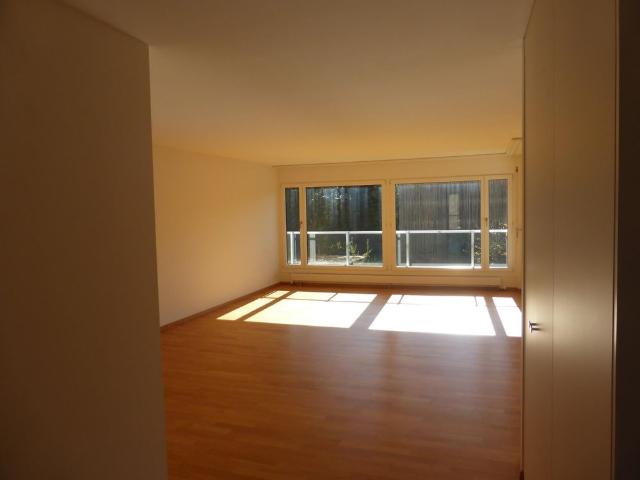 Apartment mieten in Olten, Amtei Olten-Gösgen