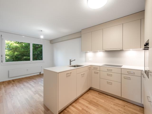 Wohnung mieten in Schaffhausen