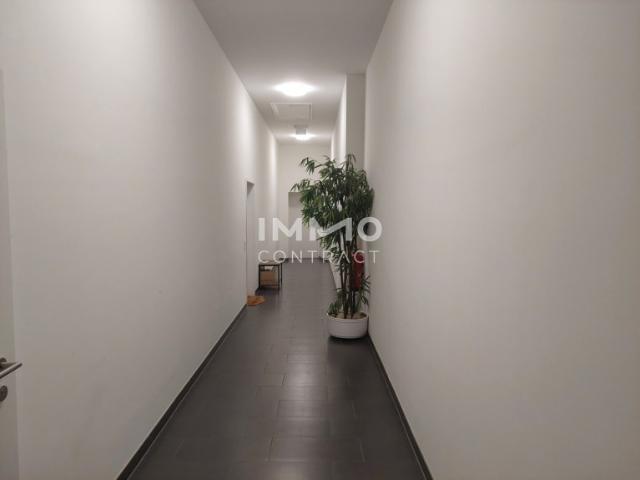 Wohnung kaufen in Pöchlarn, Niederösterreich