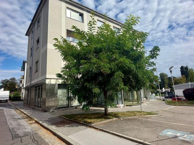 Wohnung kaufen in Gersdorf-Feistritz, Steiermark