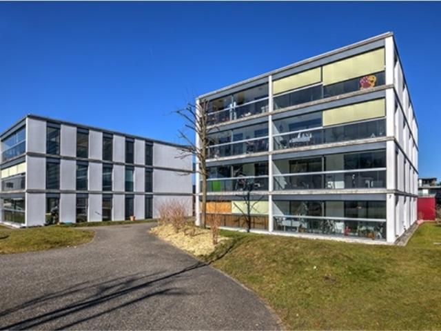 Wohnung mieten in Lachen, March