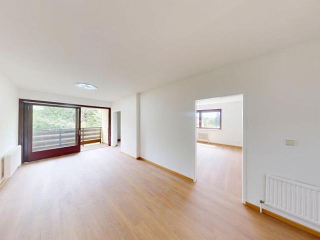 Wohnung kaufen in Pinkafeld, Burgenland