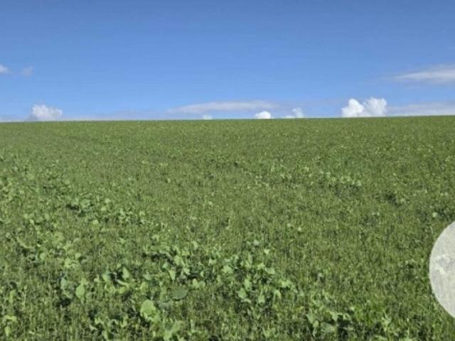 Landwirtschaft kaufen in Wallern an der Trattnach, Bezirk Grieskirchen