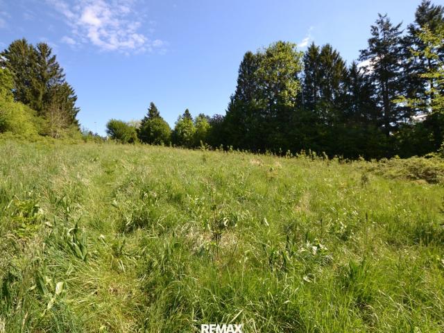 Grundstück kaufen in Eichgraben, Niederösterreich