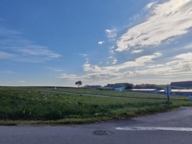 Grundstück kaufen in Buchkirchen, Bezirk Wels-Land