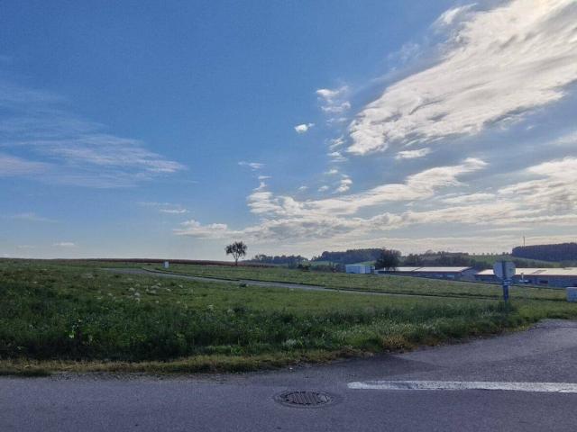 Immobilie kaufen in Epping, Buchkirchen