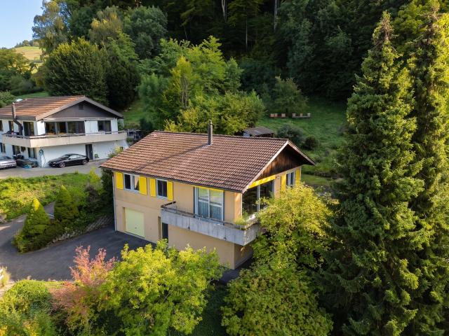 Haus kaufen in Oberdorf (BL), Bezirk Waldenburg