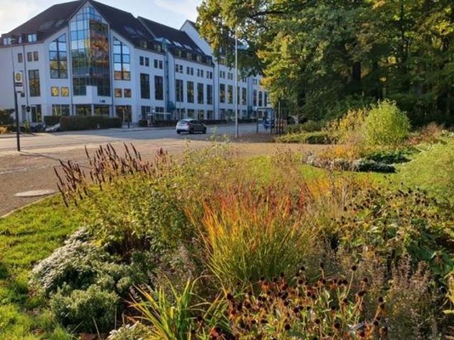 Büro mieten in Frischbornsiedlung, Chemnitz