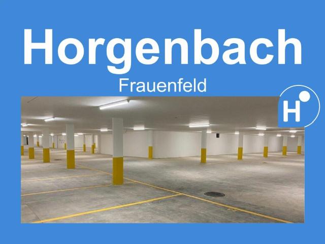Garage mieten in Horgenbach, Frauenfeld