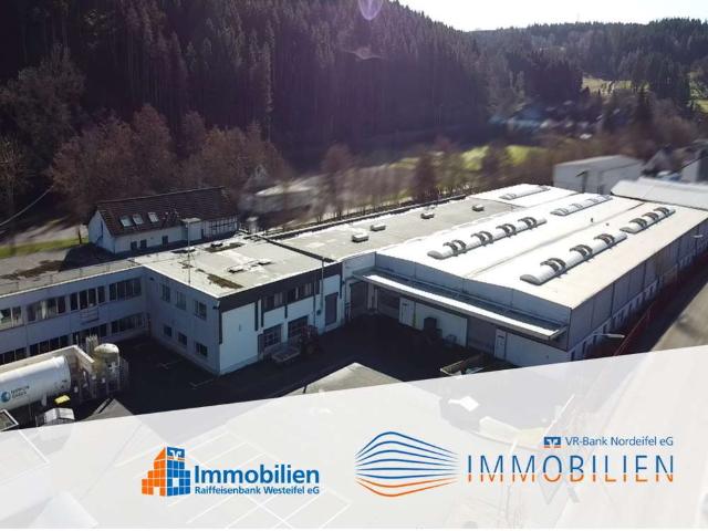 Industrie kaufen in Hellenthal, Kreis Euskirchen