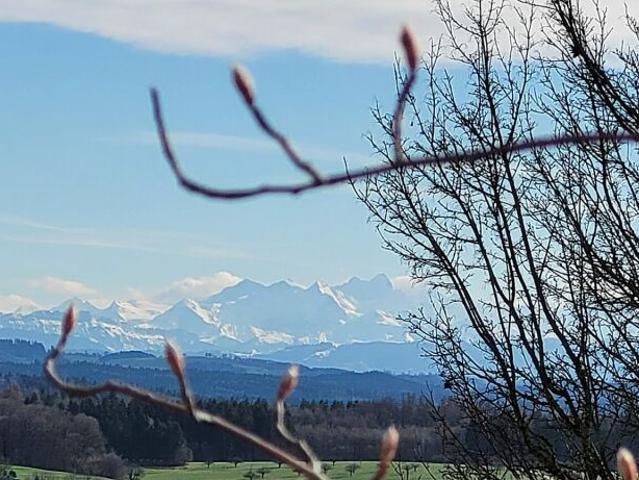 Einfamilienhaus kaufen in Hägendorf, Solothurn