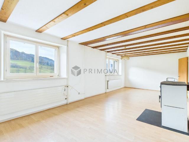 Haus kaufen in Balsthal, Amtei Thal-Gäu