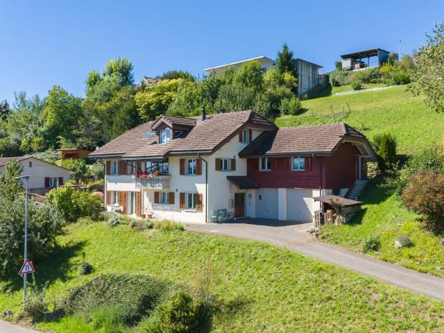Reihenfamilienhaus kaufen in Oberbipp, Bern