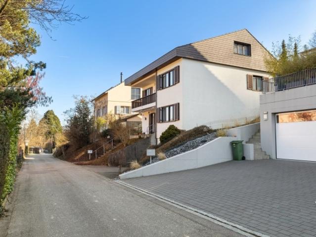 Villa kaufen in Pratteln