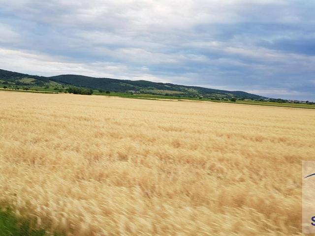 Immobilie kaufen in Steyr