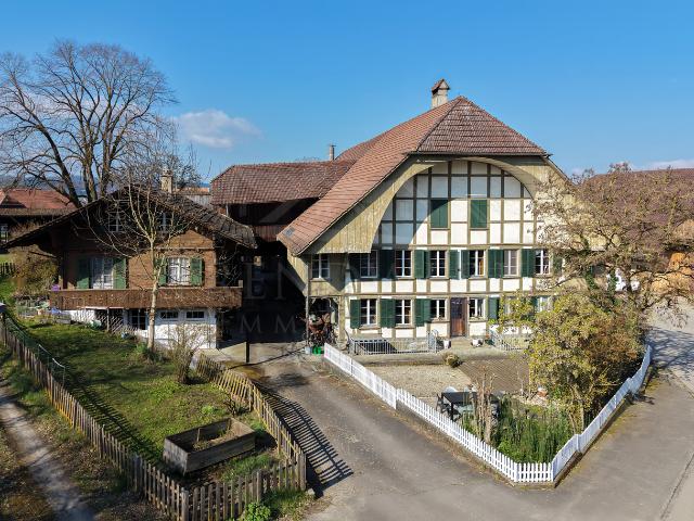 Reihenfamilienhaus kaufen in Seewil, Rapperswil (BE)