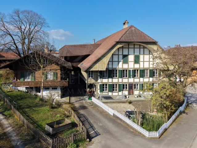 Einfamilienhaus kaufen in Seewil, Rapperswil (BE)