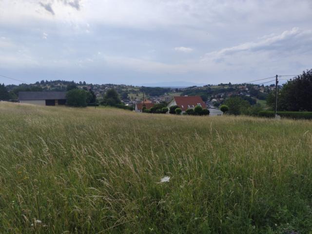 Grundstück kaufen in Sauberg, Burgenland