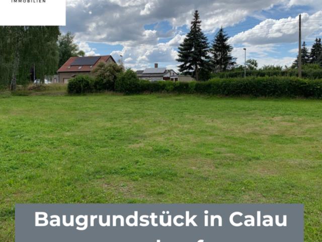 Erdgeschosswohnung kaufen in Calau, Brandenburg