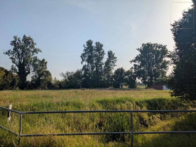 Landwirtschaft kaufen in Rathenow