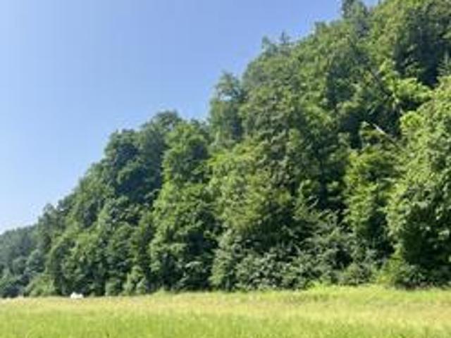 Grundstück kaufen in Gösting, Gersdorf-Feistritz