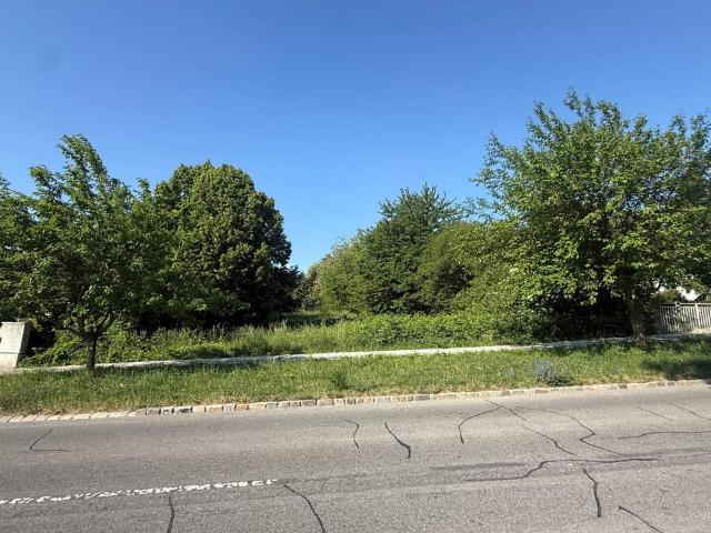Grundstück kaufen in Burgenland