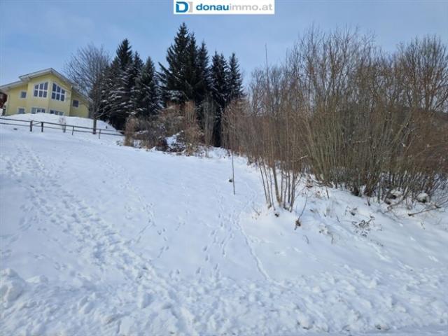 Grundstück kaufen in Spital am Semmering, Steiermark