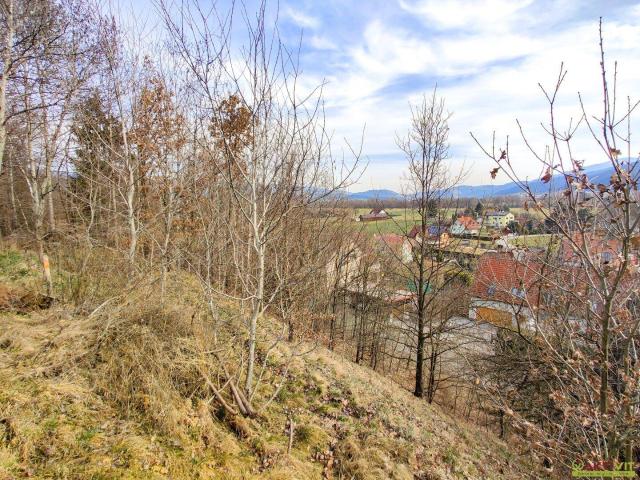 Immobilie kaufen in Knittelfeld, Bezirk Murtal