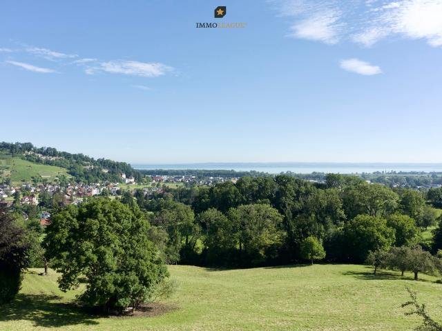 Immobilie kaufen in Lutzenberg, Appenzell Ausserrhoden