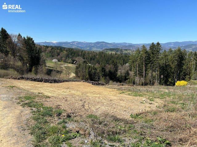 Immobilie kaufen in St. Martin am Wöllmißberg, Steiermark