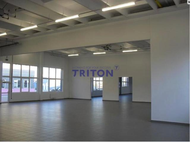 Gewerbe mieten in Wiener Neustadt, Niederösterreich