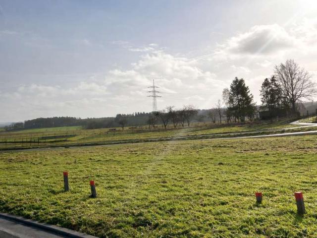 Erdgeschosswohnung kaufen in Sohren, Rhein-Hunsrück-Kreis