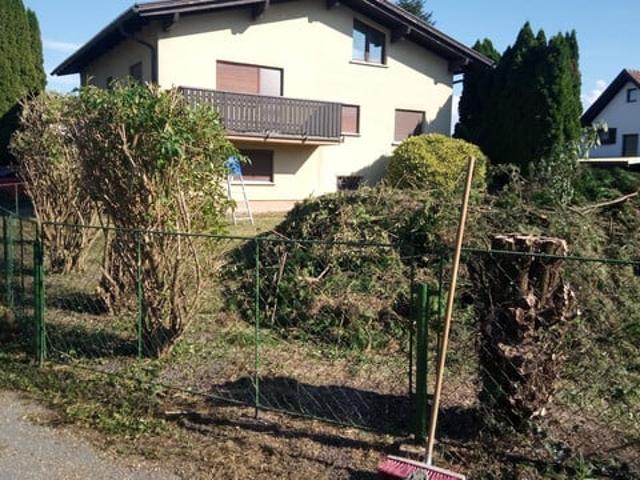 Immobilie mieten in Fußach, Vorarlberg
