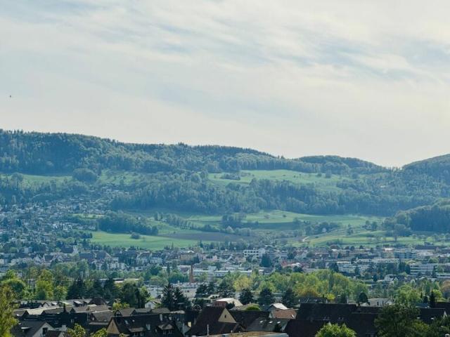 Einfamilienhaus kaufen in Dornach, Solothurn