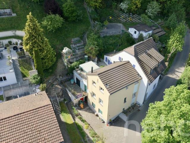 Immobilie kaufen in Staufen, Aargau